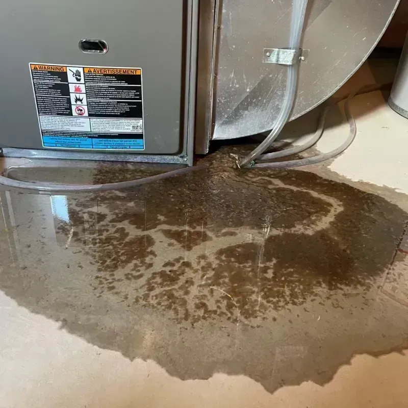 Appliance Leak Cleanup in Richmond, KY